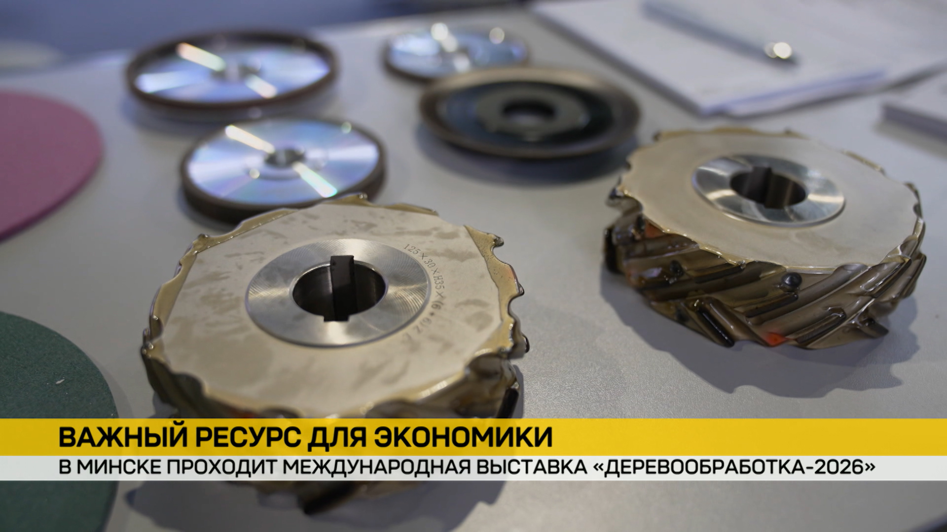 В Минске проходит международная выставка «Деревообработка-2026»